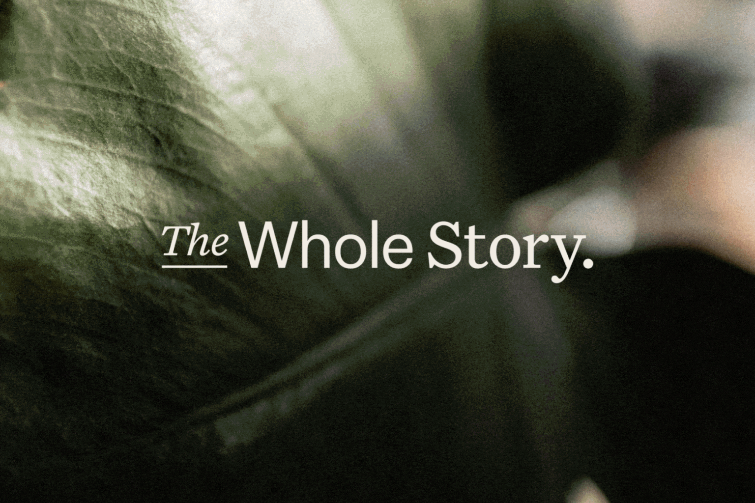 Turntable-Agency-The-Whole-Story-2